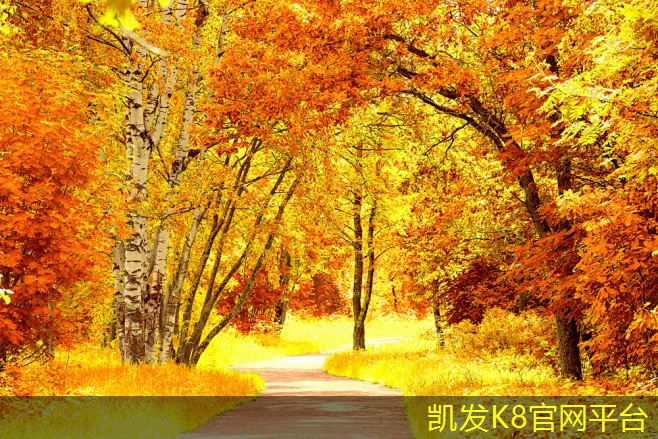  人造草坪的安装费用和预算