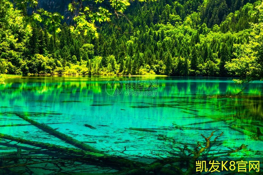  你需要了解的汽车脚垫种类