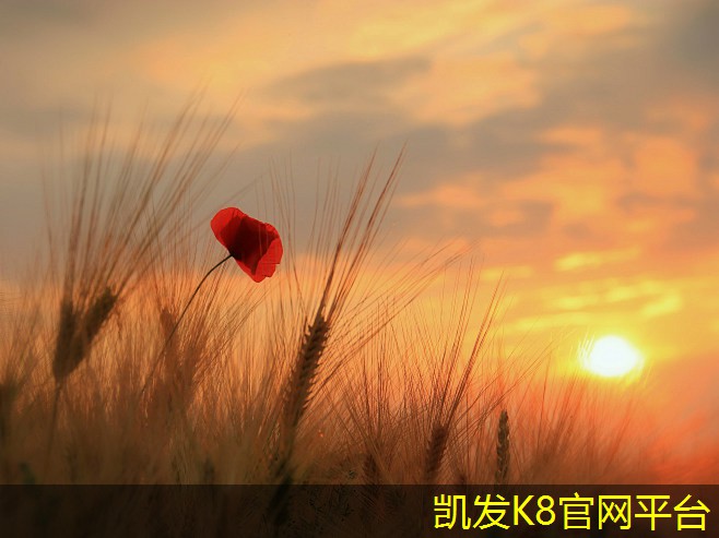  创意方块地毯提升室内装饰效果