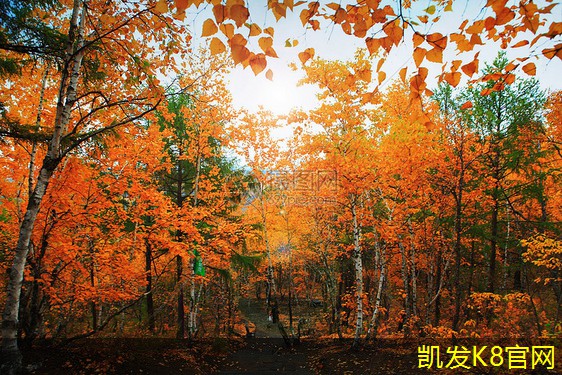 卷材门垫的优势与应用介绍