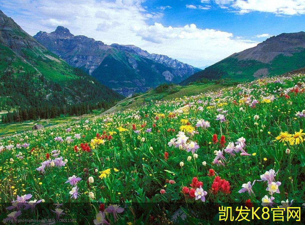  卷材门垫的安装方法和注意事项