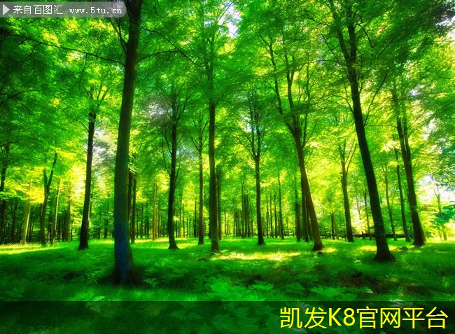  卷材门垫的清洁与保养技巧