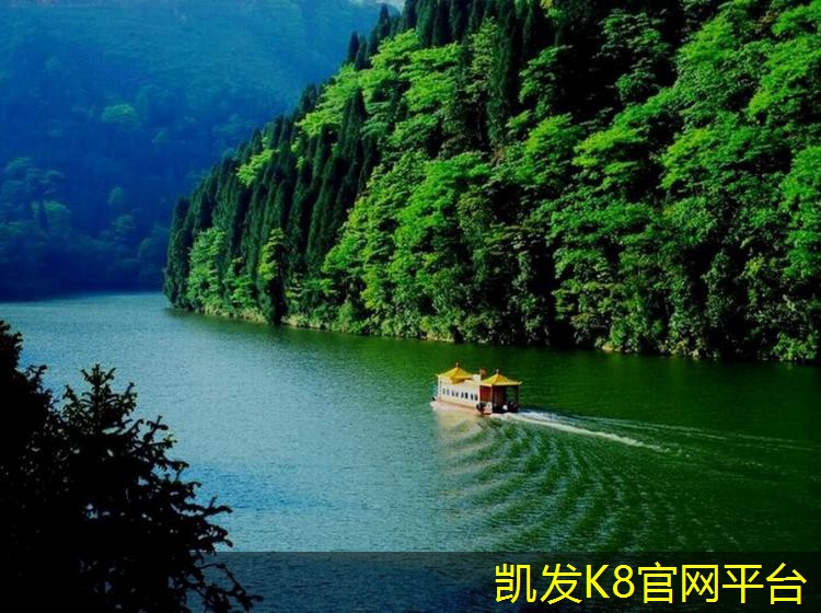 卷材门垫的选购指南与建议