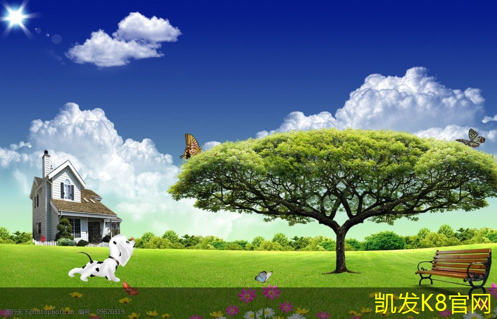  地毯清洗前后的维护建议