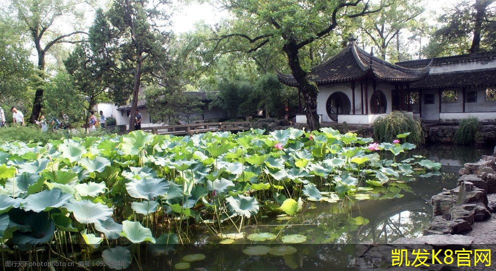  地毯清洗的最佳方法及注意事项