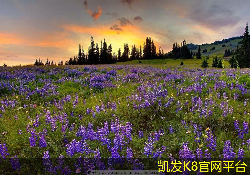  地面起砂修复的最佳方法