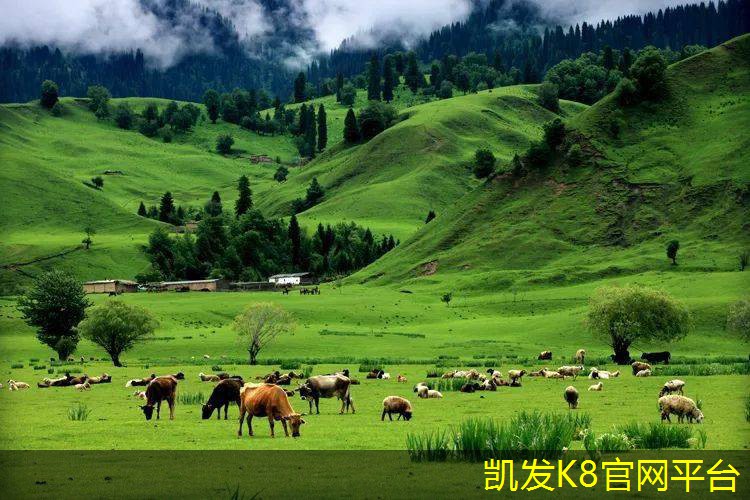  塑胶地板在商业环境中的应用