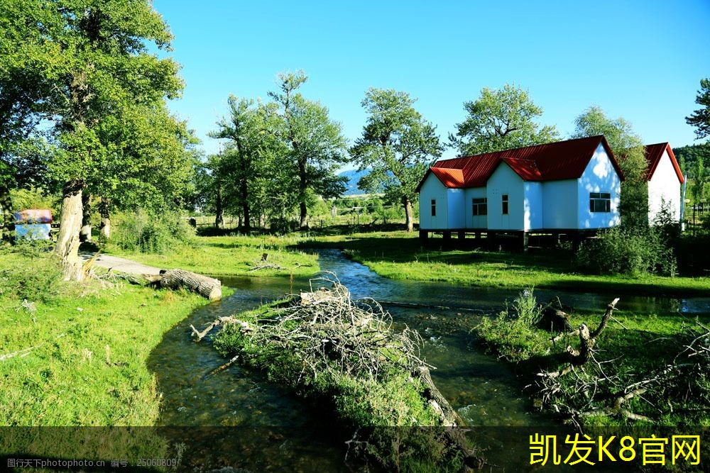 凯发k8国际厅登录汽车脚垫与车内装饰风格的搭配建议