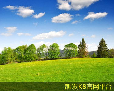  如何去除地毯上的污渍