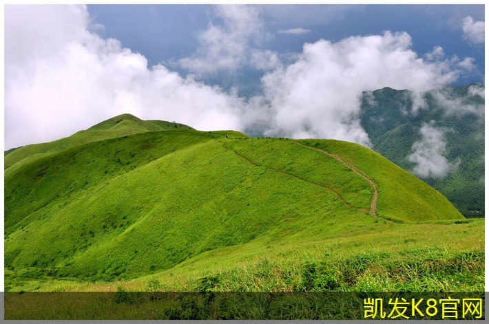  如何挑选适合的方块地毯风格