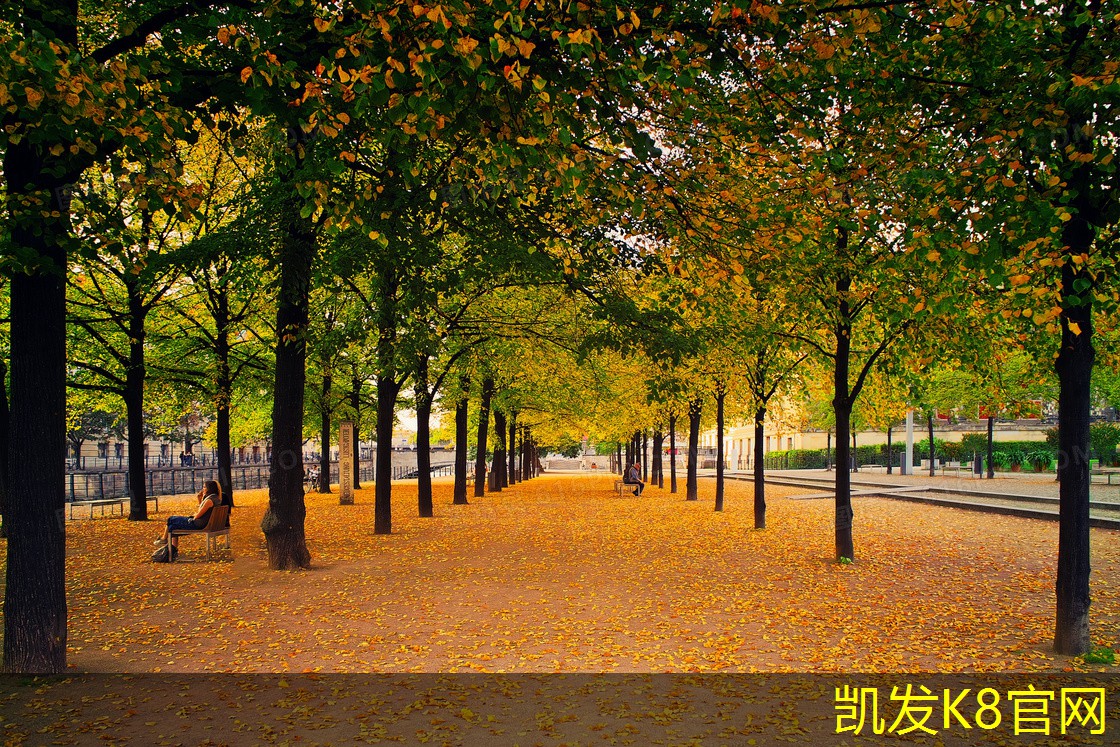  如何清洁不同类型地毯的技巧