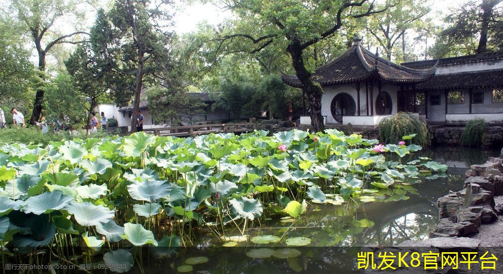  如何清洁和保养茶几地毯