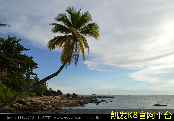  如何识别优质运动地板的关键指标
