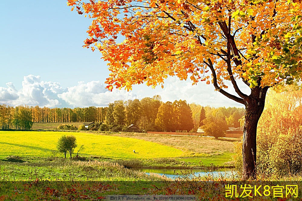  如何选择适合你的悬浮地板
