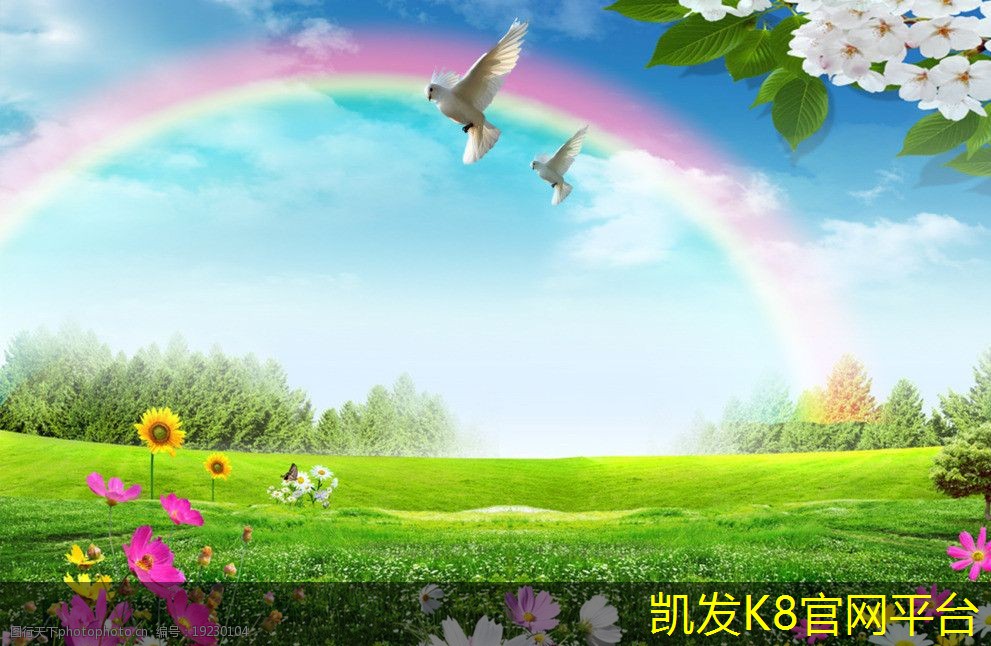  市面上最受欢迎的汽车脚垫品牌
