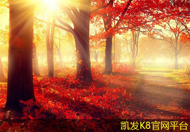  广告垫如何与其他广告媒介形成联动