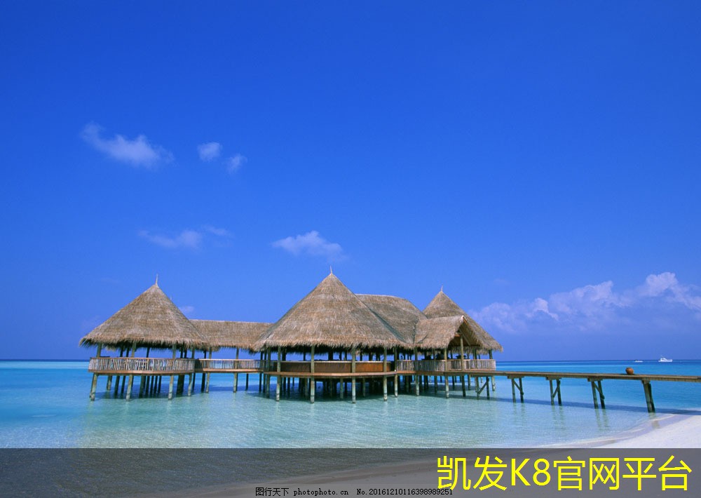  凯发K8在线官网提升家居舒适度的满铺地毯选择指南