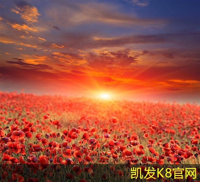  K8凯发app官网登录方块地毯的清洁与保养指南