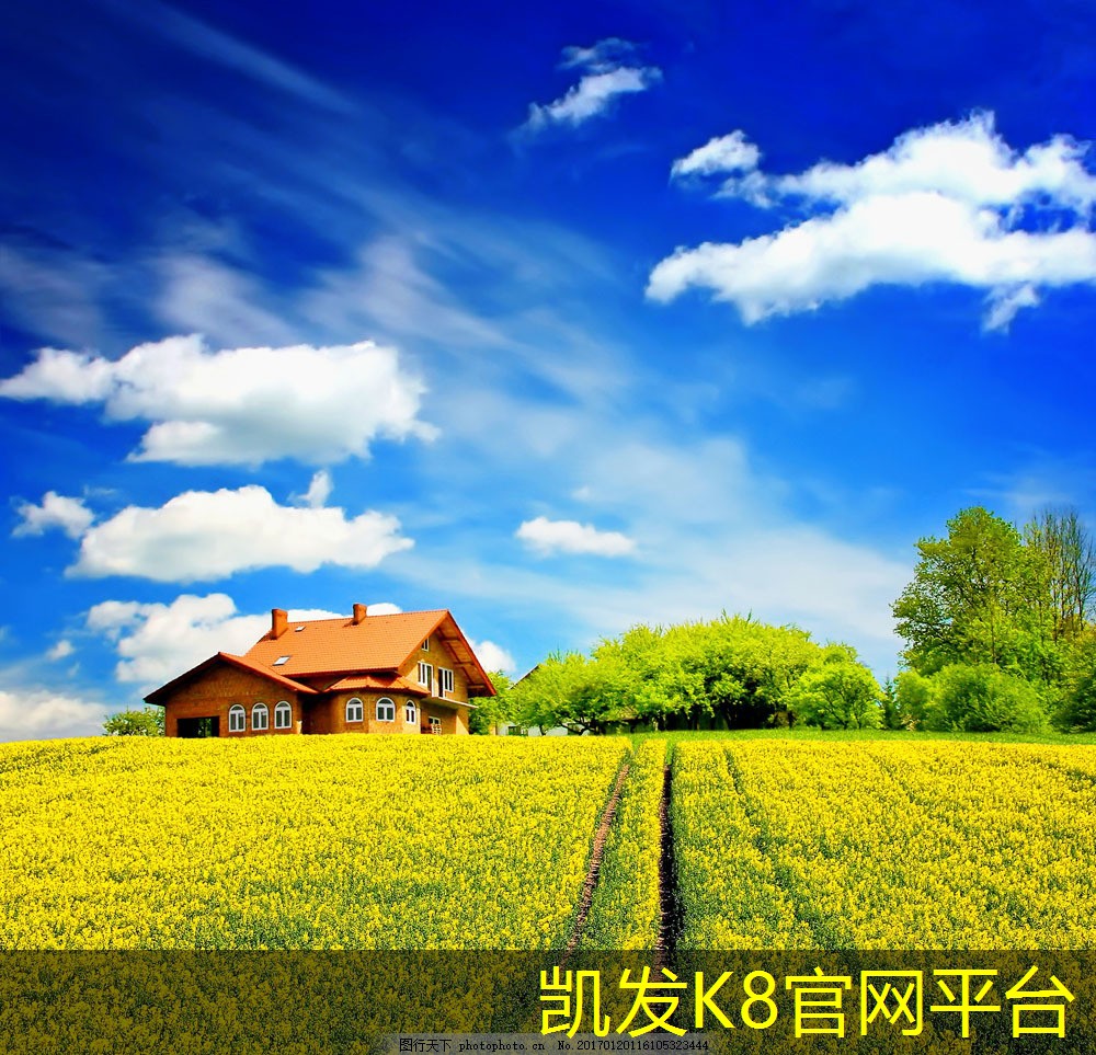  凯发k8国际登录厅最新汽车脚垫设计趋势解析