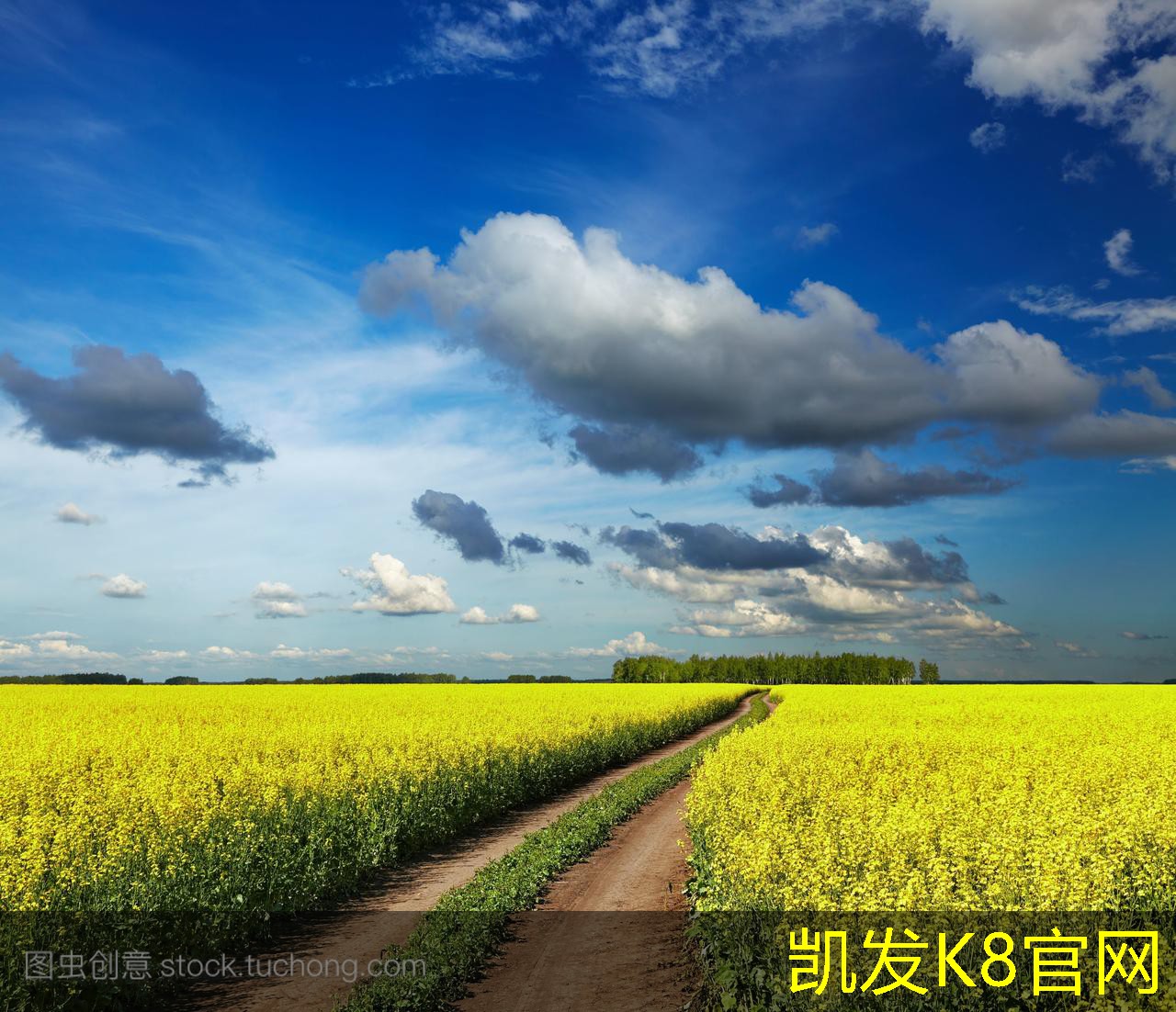  凯发K8在线平台官方网站毛刷垫的种类及其适用场景解析