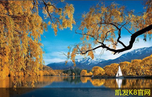  凯发K8官方在线满铺地毯的安装成本及预算估算