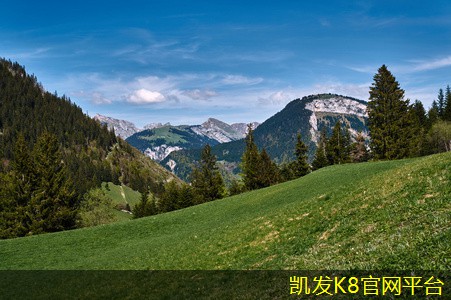  凯发app手机版下载清洁地毯时如何保护地板和家具
