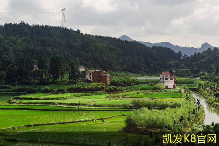  凯发K8官方手机app满铺地毯在不同风格家居中的应用
