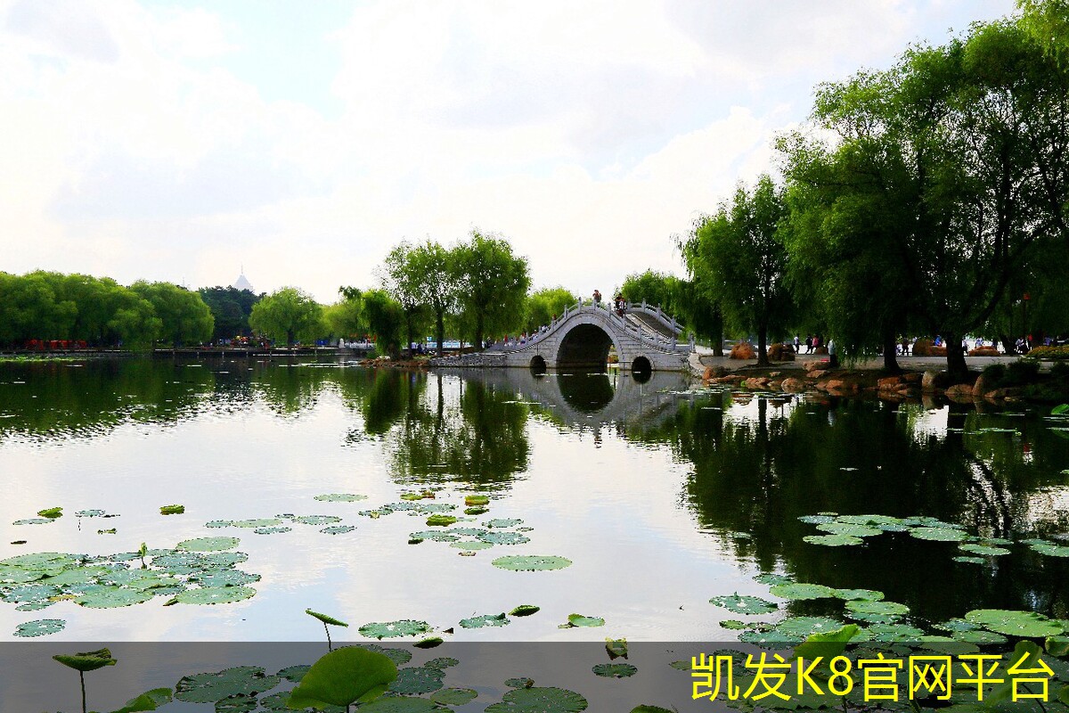  K8凯发app官网登录电梯地胶的环保材料推荐