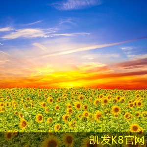  凯发K8官方网站app官网铝合金门垫与其他门垫材料的比较