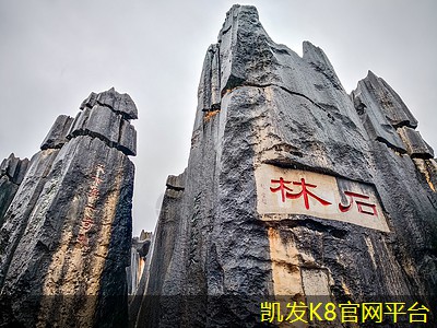  凯发K8官方在线运动地板对运动表现的影响