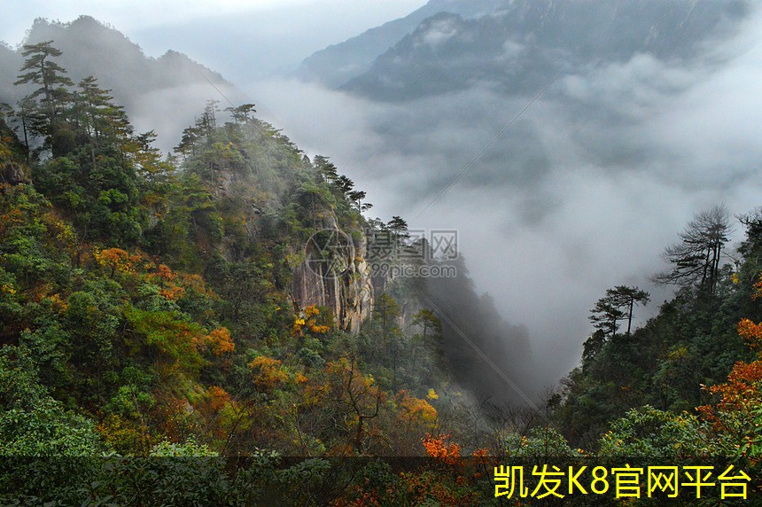  凯发k8国际(中国)官方网站·一触即发选择木楼梯地毯时需考虑
