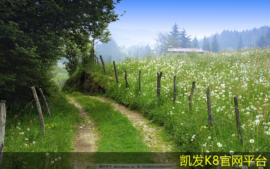  凯发app手机版下载选择理想运动地板的最终指南