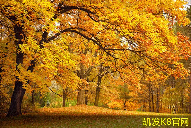  凯发K8官网平台注册铝合金门垫的安装注意事项
