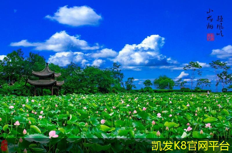  凯发k8国际登录厅锁扣地板的市场趋势与发展前景