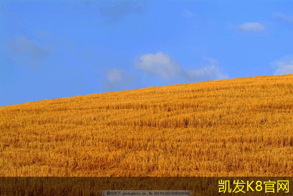  凯发K8官网地址锁扣地板的耐用性及使用寿命