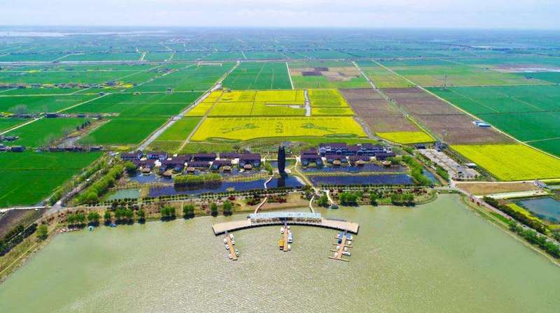  凯发K8官网下载客户端一见“清”心白马湖边“彩色地毯”绽放