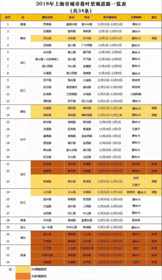 凯发k8国际登录厅沪34条彩色地毯渐入佳境 一起去扫街
