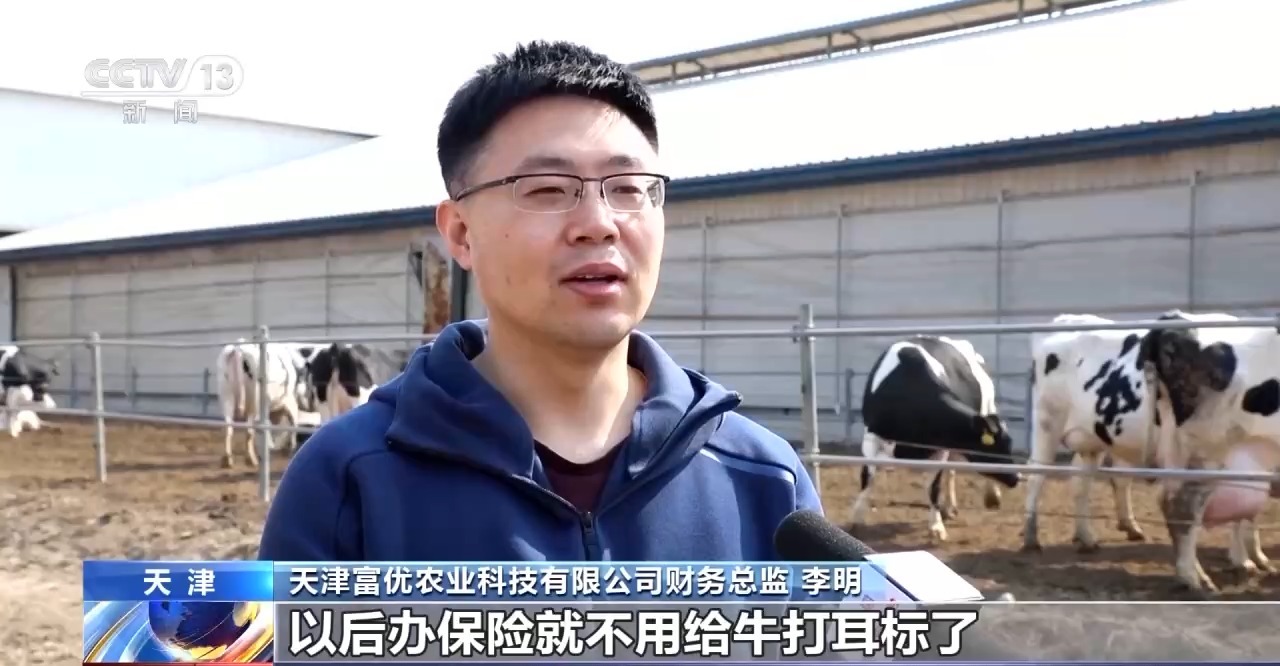  凯发k8国际厅登录“牛脸识别”助力农业保险 产业发展有效率更