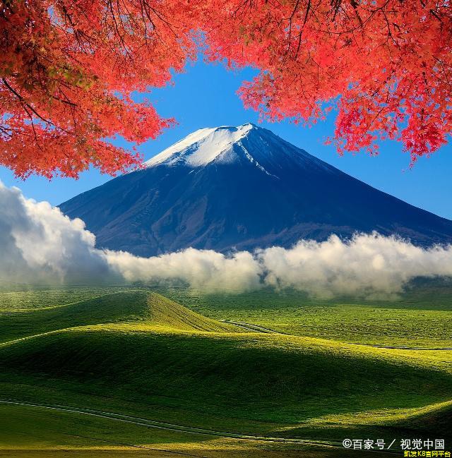 地毯的款式有哪些