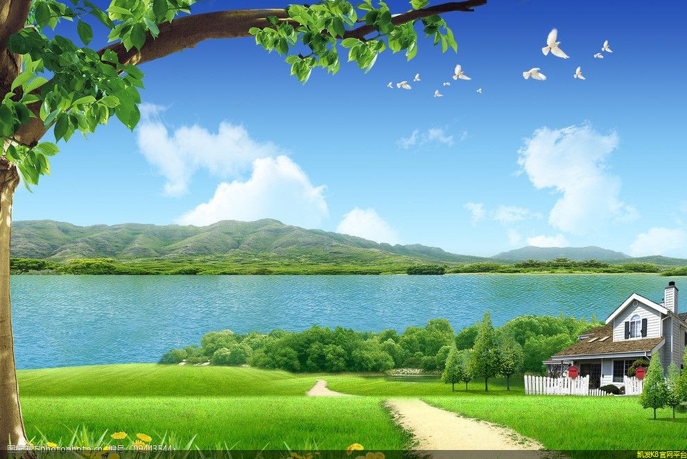 地毯脏了怎么清洗教程(地毯脏了怎么清洗教程视频)