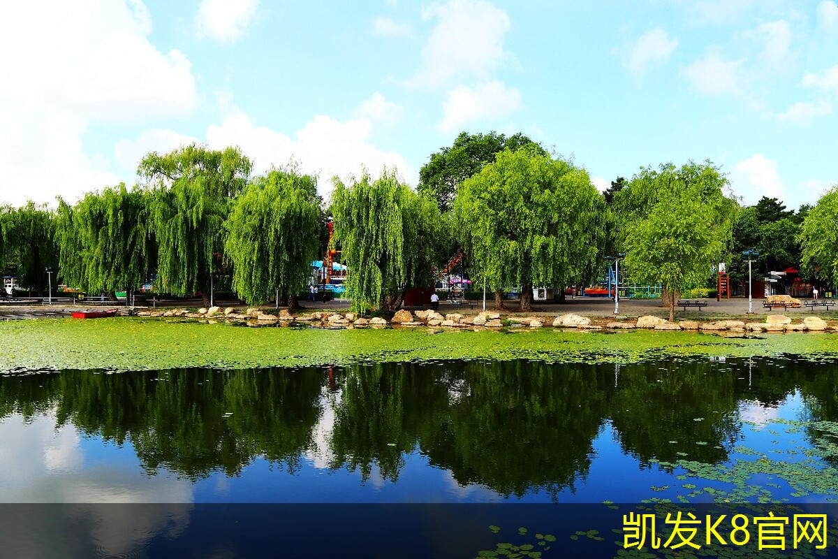 为什么运动地板对运动安全至关重要