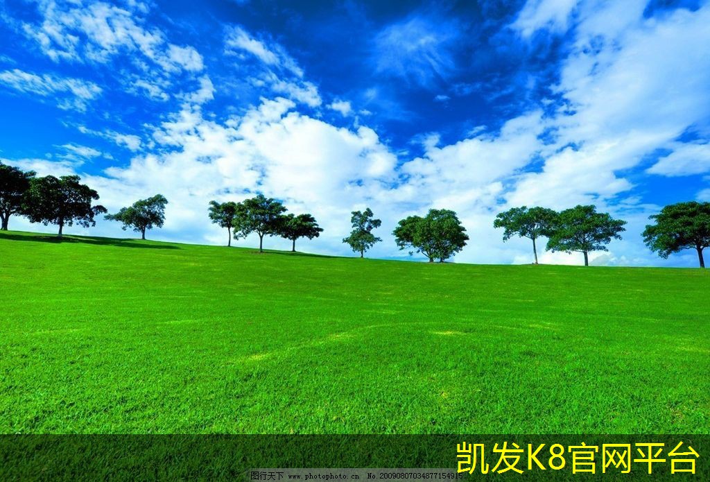 人造草坪对宠物友好吗
