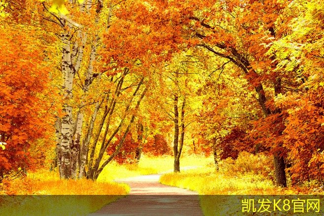 人造草坪的安装费用和预算