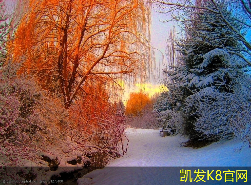 人造草坪的环保性解析