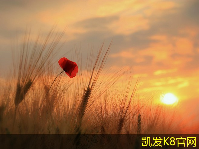 创意方块地毯提升室内装饰效果
