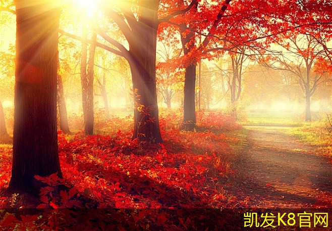 卷材门垫如何提升家居舒适度