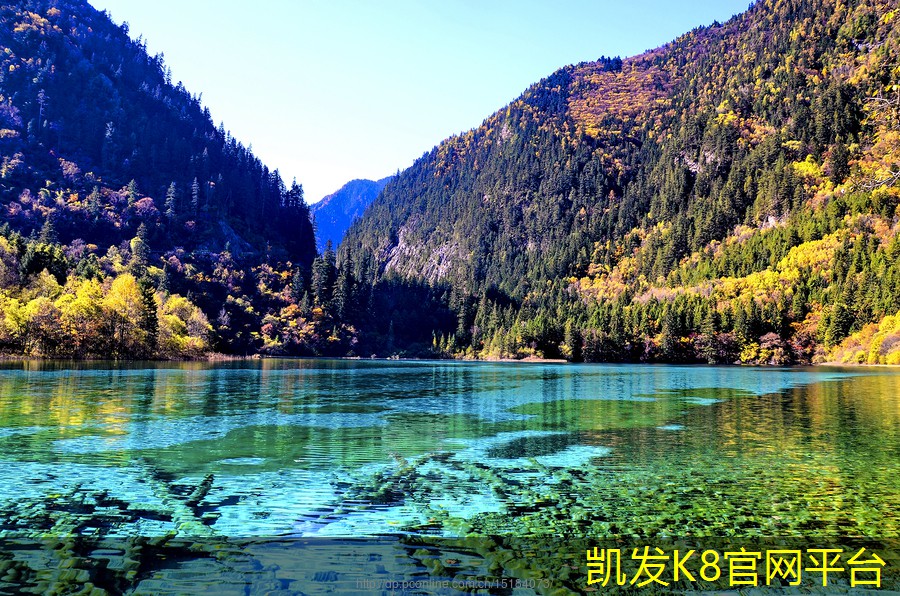 卷材门垫的不同材质与功能分析