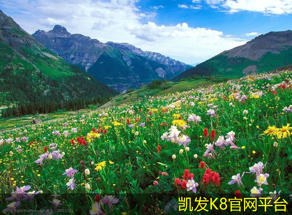 卷材门垫的安装方法和注意事项