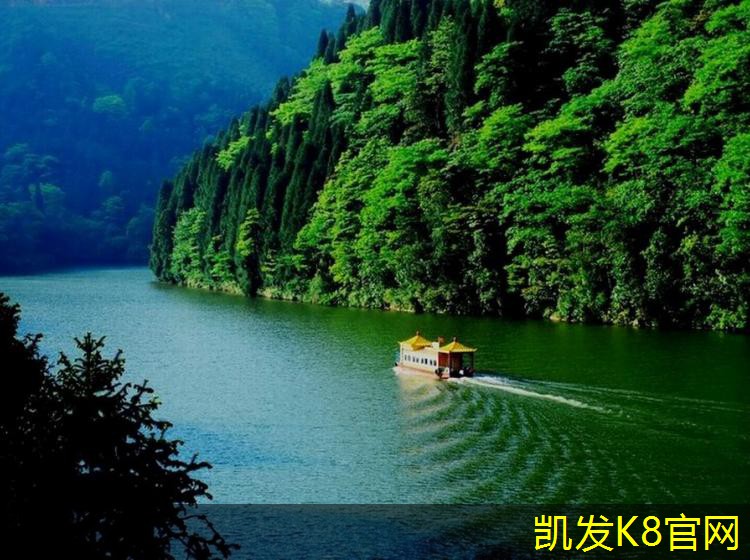 卷材门垫的选购指南与建议