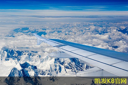 地毯对家庭过敏源的影响